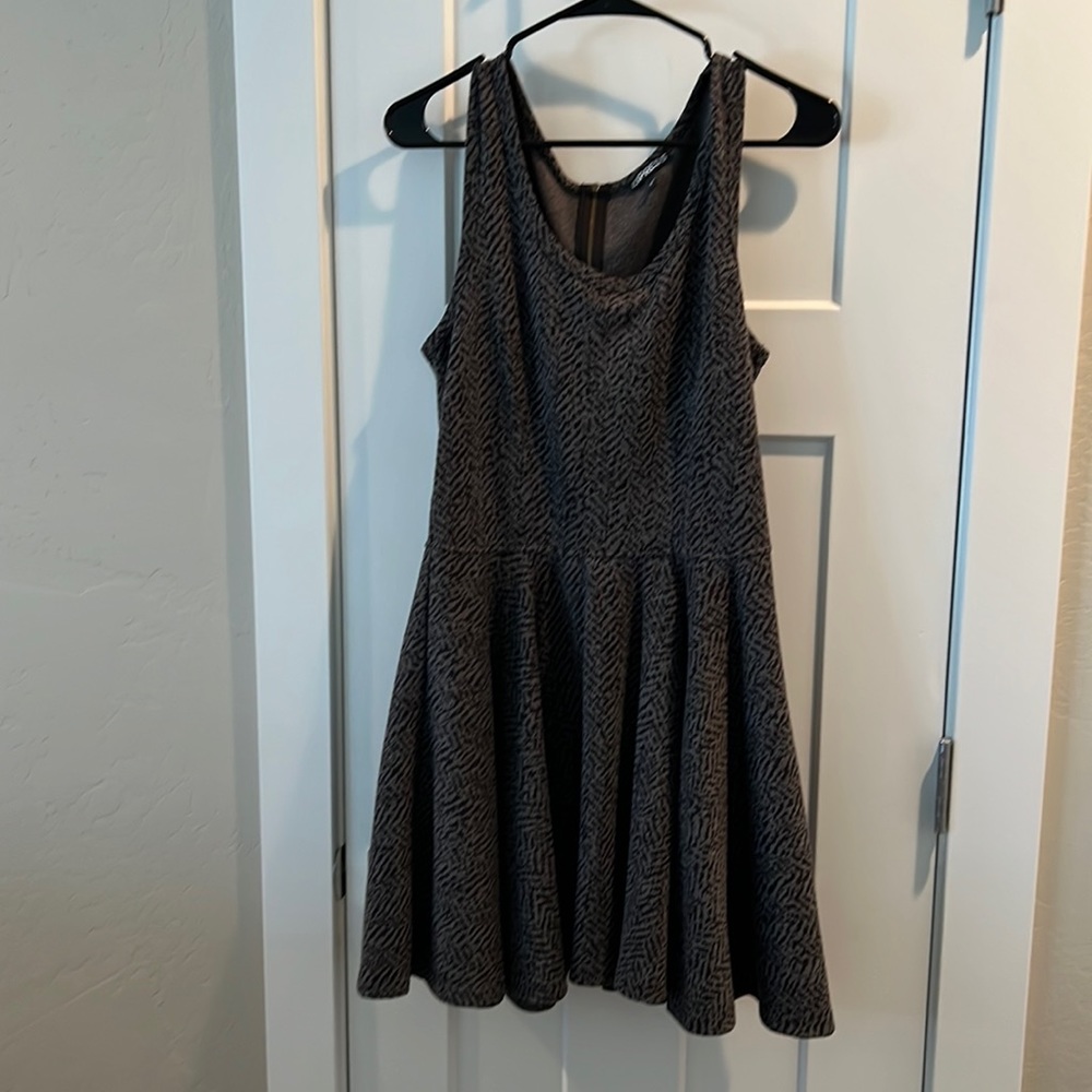 Express Skater Dress
